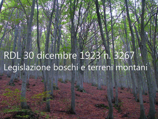 Regio Decreto Legge 30 dicembre 1923 n  3267   Legislazione in materia di boschi e di terreni montani