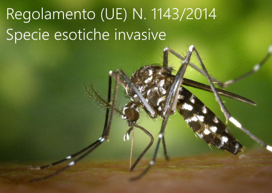 Regolamento  UE  N  1143 2014 Specie esotiche invasive