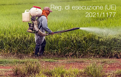 Regolamento di esecuzione UE 2021 1177