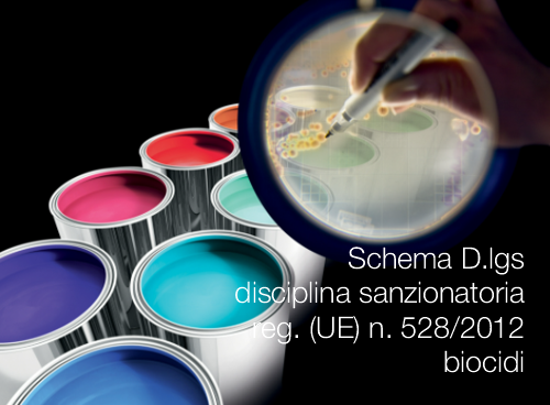 Schema D lgs disciplina sanzionatoria reg biocidi
