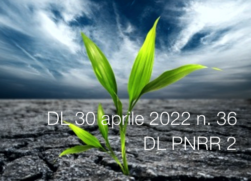 Decreto Legge 30 aprile 2022 n  36