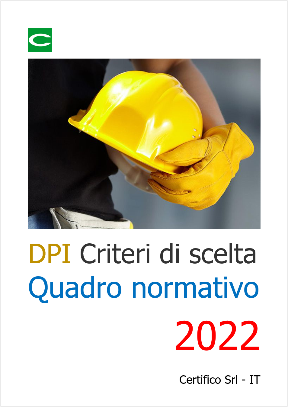DPI criteri di scelta Rev 2 0 2022