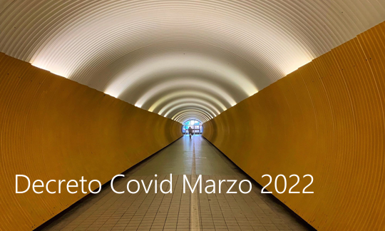 Decreto Covid Marzo 2022