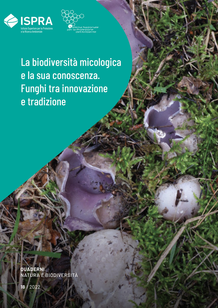 La biodiversit  micologica e la sua conoscenza  Funghi tra innovazione e tradizione