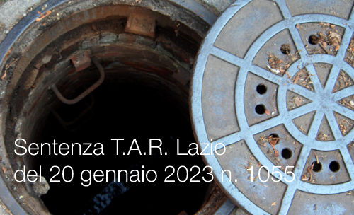 Sentenza T A R  Lazio 20 gennaio 2023 n  1055