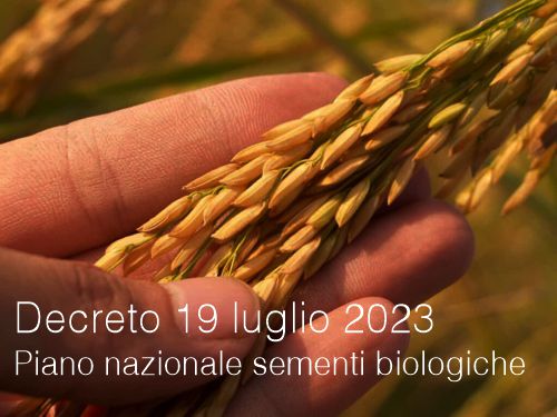 Decreto 19 luglio 2023   Piano nazionale delle sementi biologiche