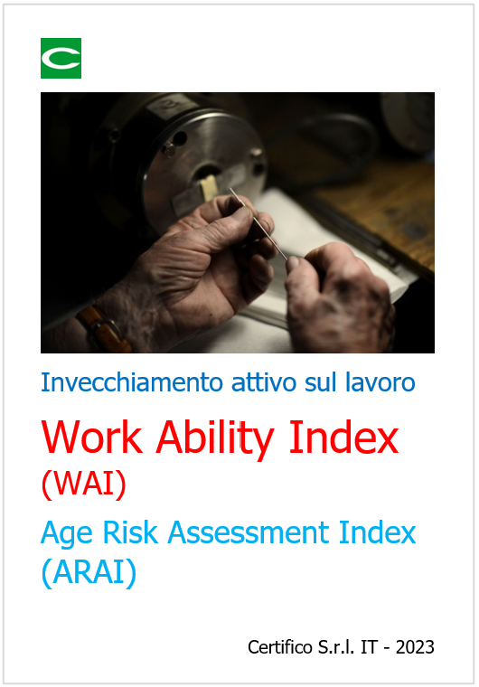 Work Ability Index  WAI  2023