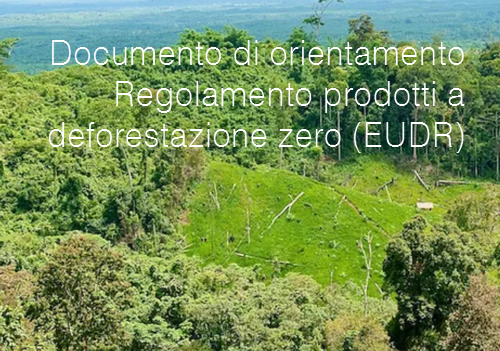 Documento di orientamento   Regolamento prodotti a deforestazione zero