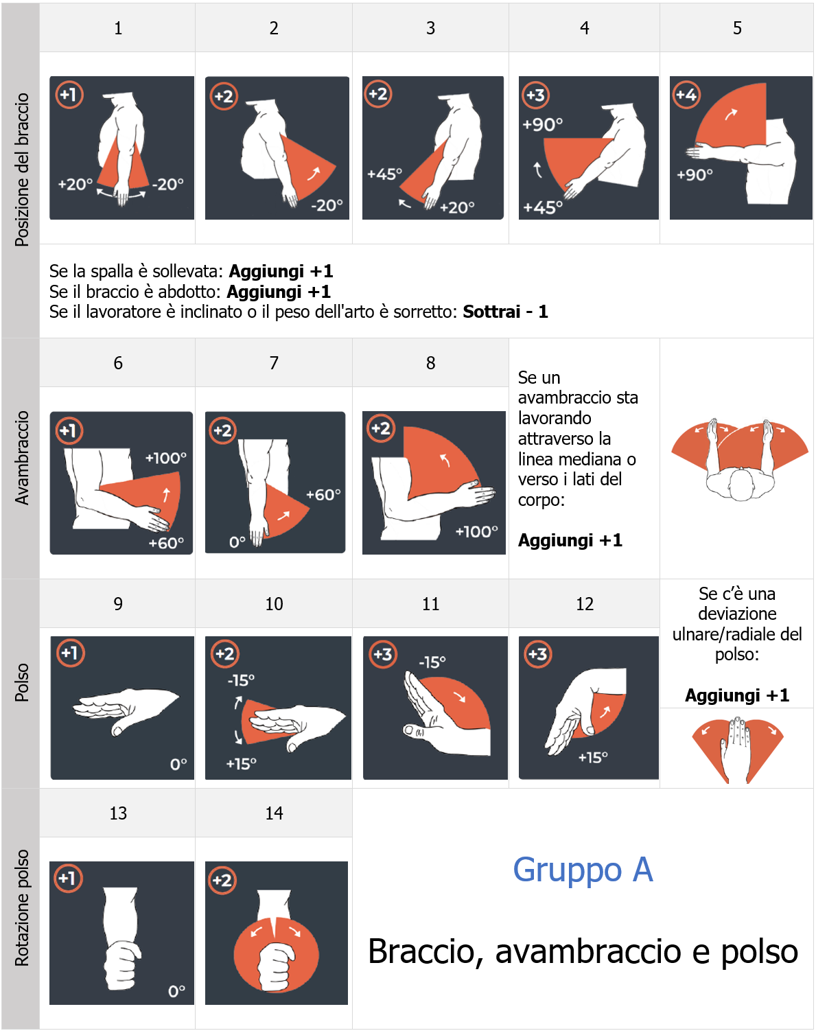 Fig  2 Gruppo A