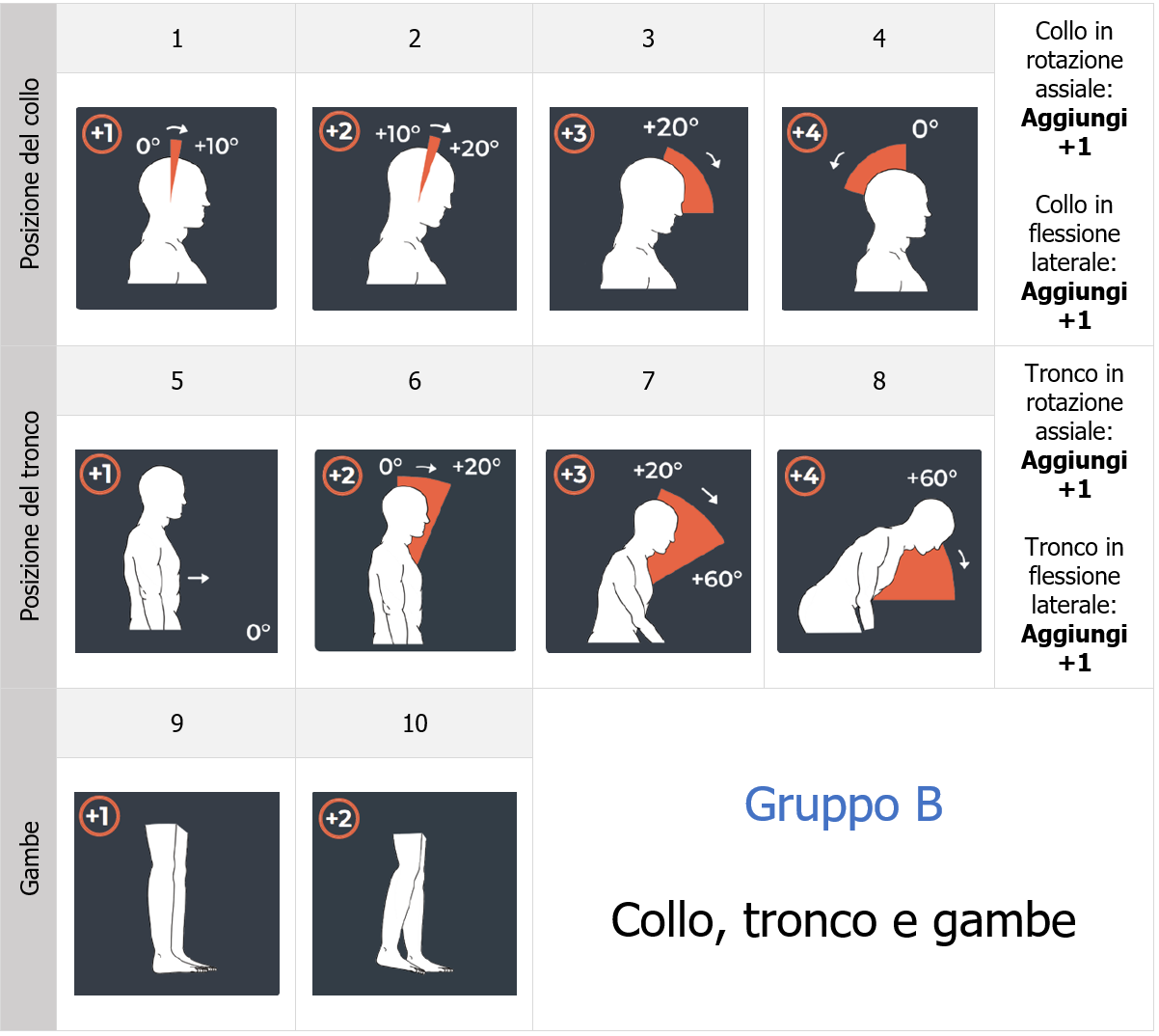 Figura 3 Gruppo B