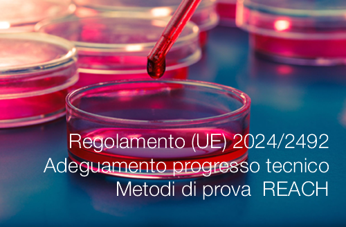 Regolamento  UE  2024 2492  Adeguamento progresso tecnico Metodi di prova  REACH