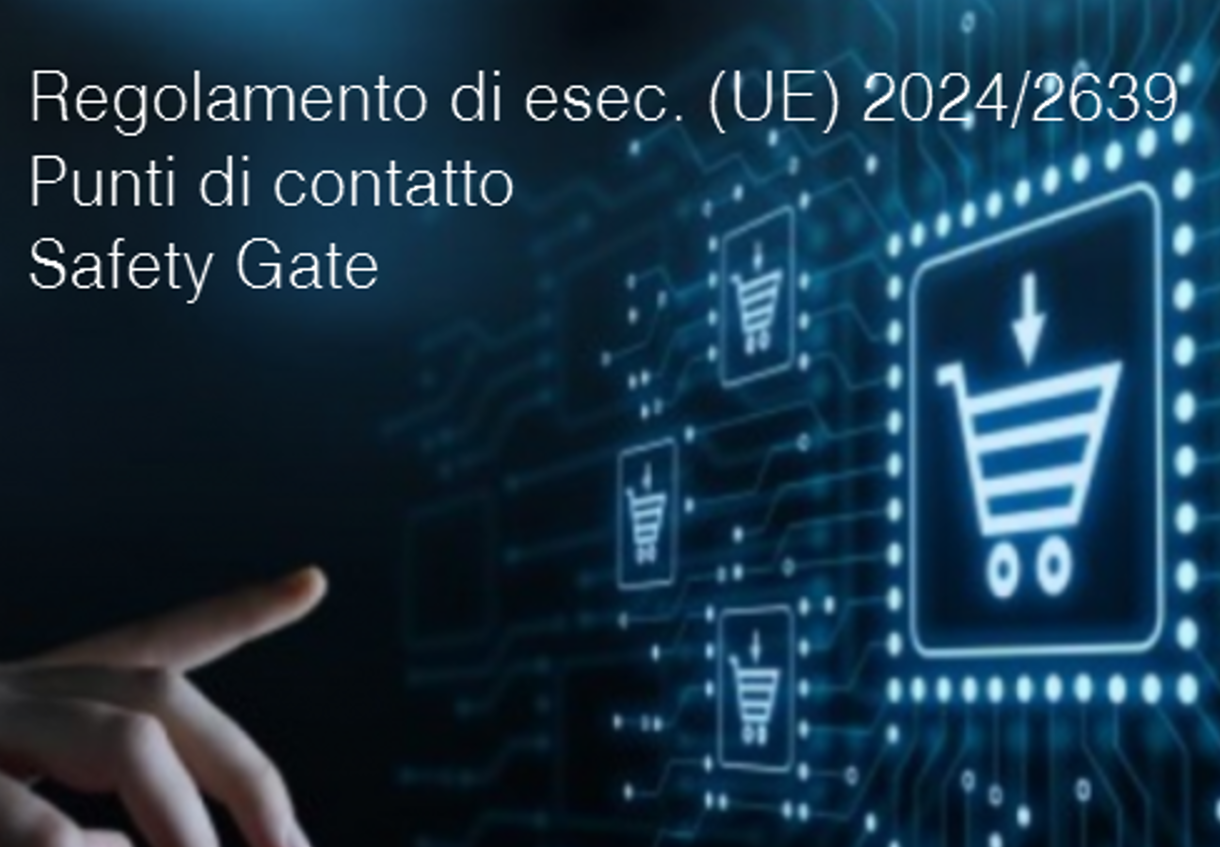 Regolamento di esec UE 2024 2639