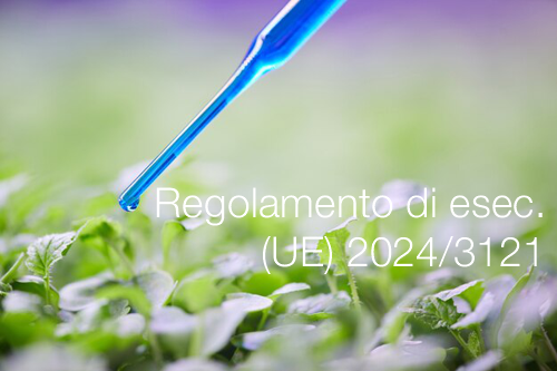 Regolamento di esecuzione  UE  2024 3121