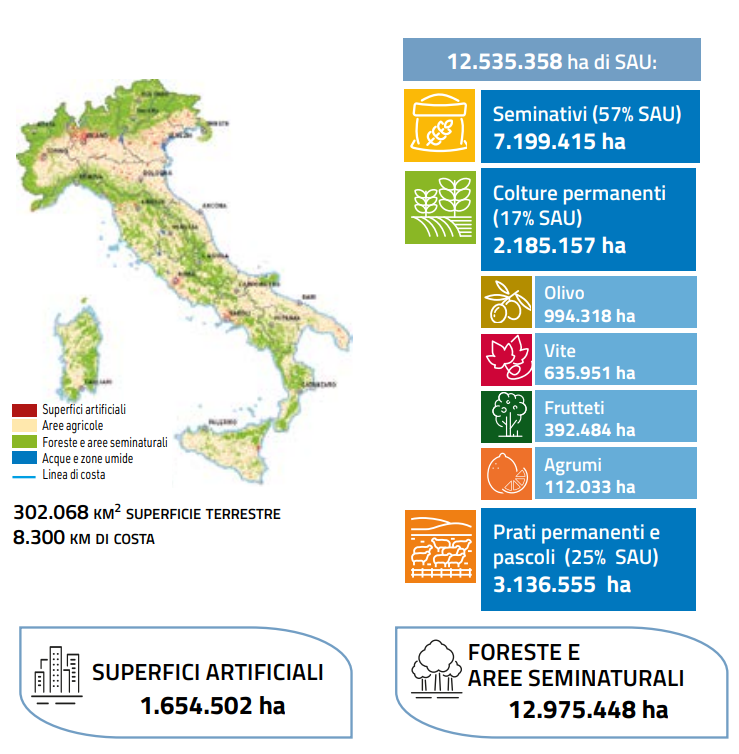 Superficie e popolazione