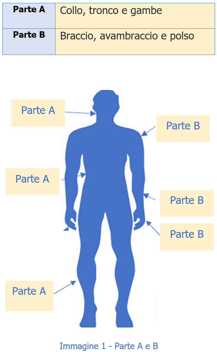 Valutazione rischio posture lavoro REBA Immagine 1