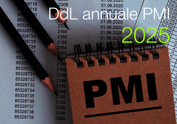 DdL annuale PMI 2025