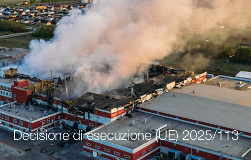 Decisione di esecuzione  UE  2025 113