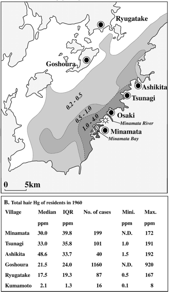 Distribution of anthropogenic HG