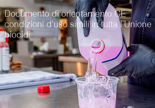 Documento di orientamento CE condizioni d uso simili in tutta l Unione biocidi