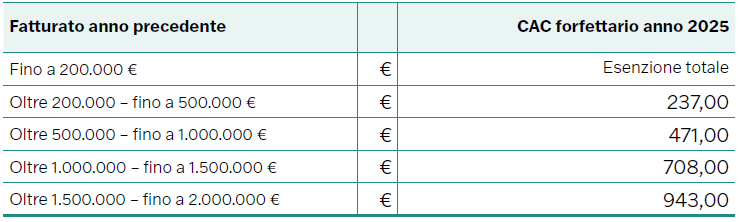 Guida al Contributo Ambientale CONAI 2025   Immagine 3