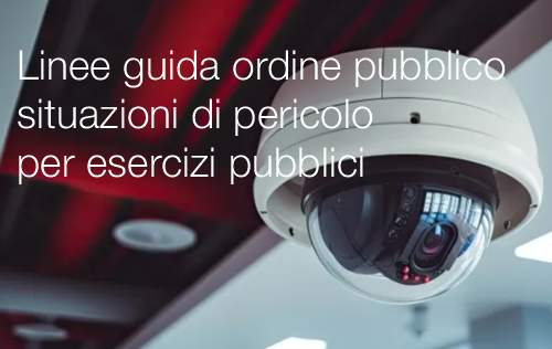 Linee guida ordine pubblico situazioni di pericolo per esercizi pubblici