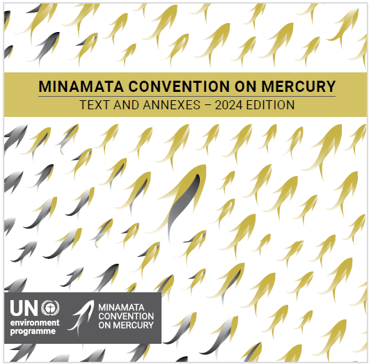 Minamata Convention booklet Oct 2024