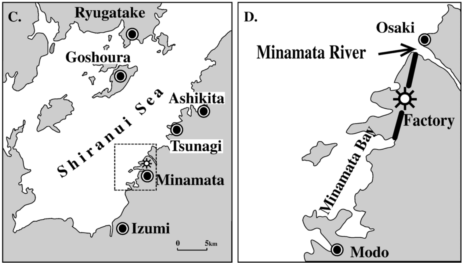 Minamata JP 2