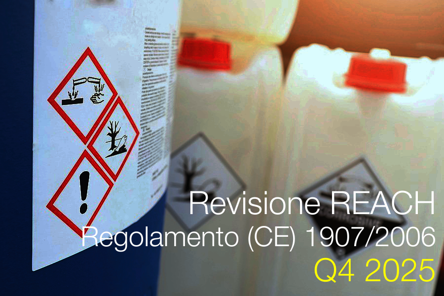 Revisione Regolamento REACH  CE  1907 2006   Q4 2025