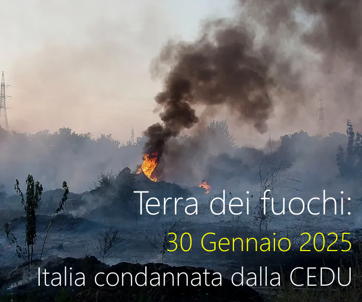 Terra dei fuochi   Italia condannata dalla Corte Europea dei Diritti dell uomo  CEDU 