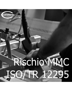 DT03 - Rischio MMC ISO TR 12295 2014