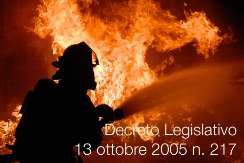 Decreto Legislativo 13 ottobre 2005 n 217 Decreto Legislativo 13 ottobre 2005 n 217