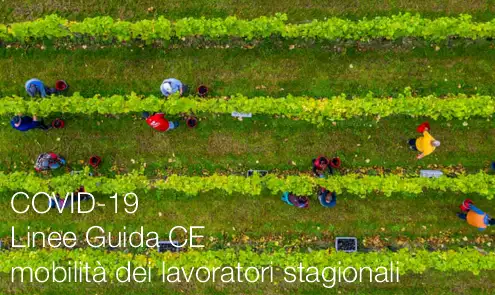 Linee guida stagionali