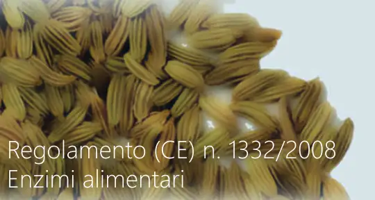 Regolamento CE n 1332 2008 Regolamento CE n 1332 2008