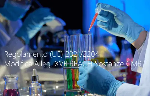 Regolamento UE 2021 2204 Regolamento UE 2021 2204