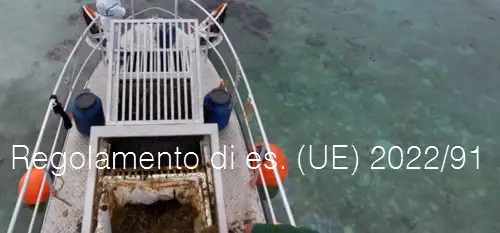 Regolamento di esecuzione 2022 91 Regolamento di esecuzione 2022 91