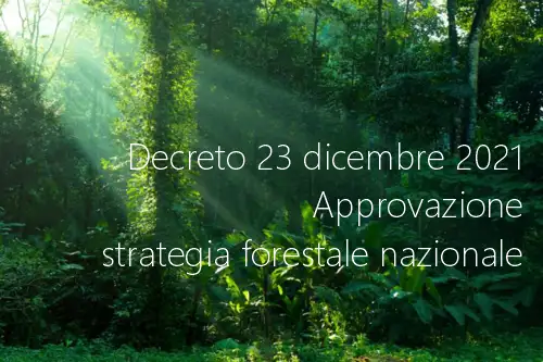 Decreto 23 dicembre 2021 Decreto 23 dicembre 2021