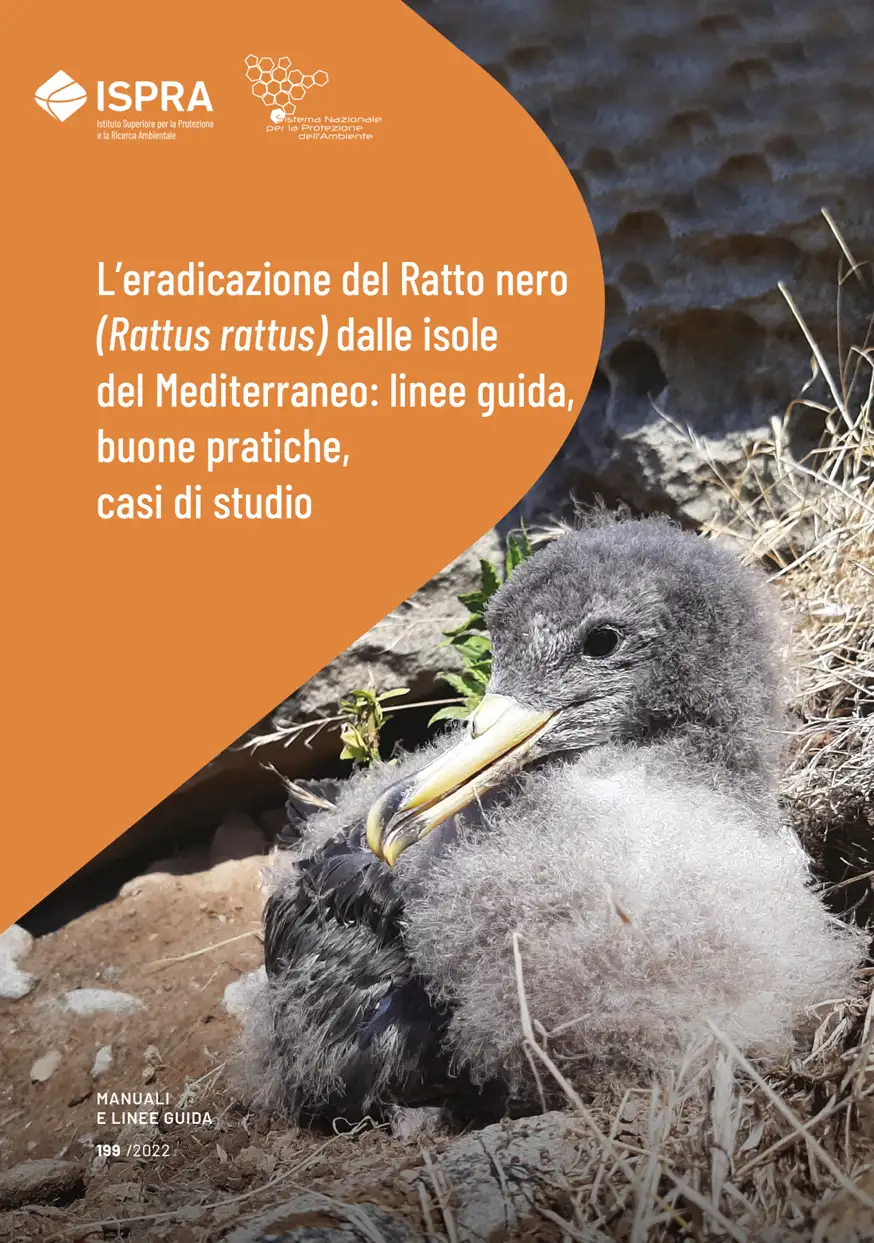 L eradicazione del Ratto nero dalle isole del Mediterraneo L eradicazione del Ratto nero dalle isole del Mediterraneo