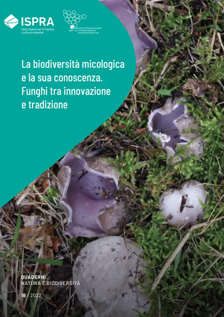 La biodiversit micologica e la sua conoscenza Funghi tra innovazione e tradizione La biodiversit micologica e la sua conoscenza Funghi tra innovazione e tradizione