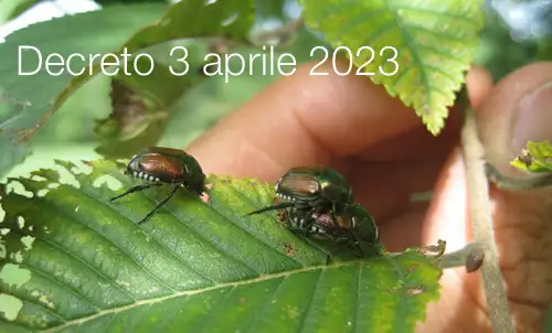 Decreto 3 aprile 2023 Decreto 3 aprile 2023