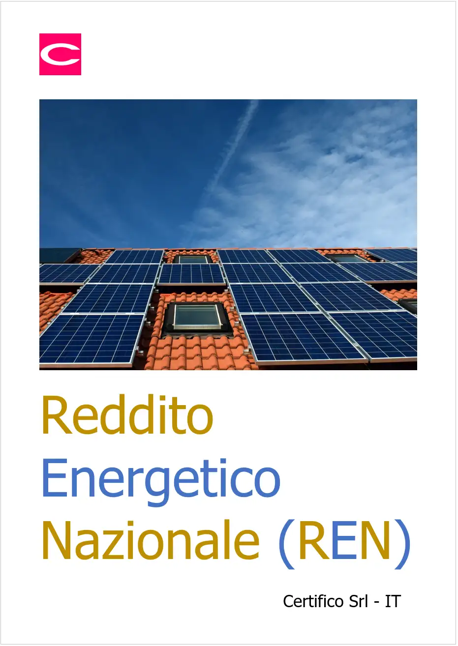 Reddito Energetico Nazionale Reddito Energetico Nazionale