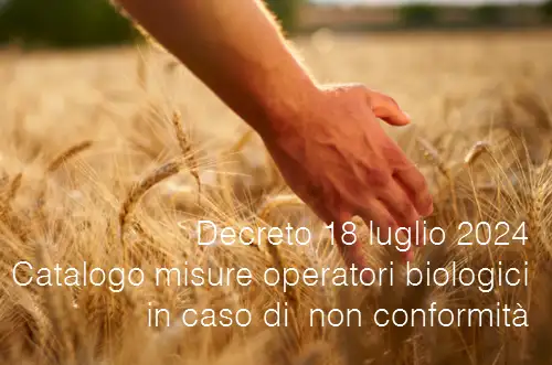 Decreto 18 luglio 2024 Catalogo misure operatori biologici in caso di sospetta o accertata non conformit Decreto 18 luglio 2024 Catalogo misure operatori biologici in caso di sospetta o accertata non conformit