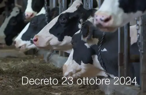 Decreto 23 ottobre 2024 Decreto 23 ottobre 2024