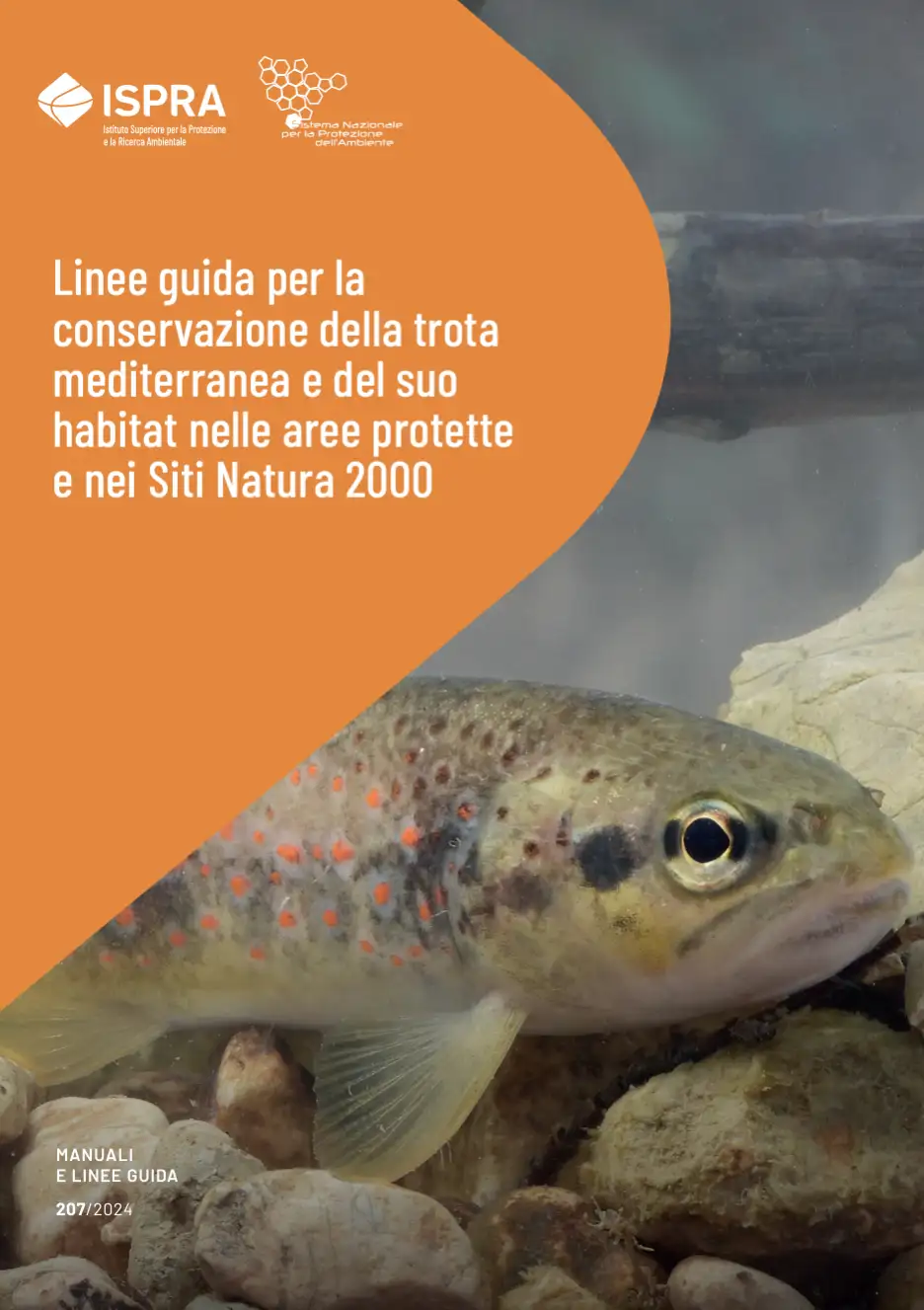 Linee guida per la conservazione della trota mediterranea Linee guida per la conservazione della trota mediterranea