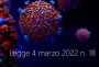 Legge 4 marzo 2022 n  18