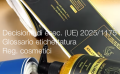 Decisione di esec   UE  2025 1175