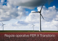 Regole operative FER X Transitorio