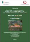 Linee guida attivit  investigativa incendi boschivi e territoriali VVF 2017