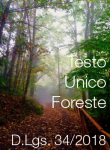 Tesdto Unico Foreste DLgs 34 2018