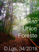 Tesdto Unico Foreste DLgs 34 2018