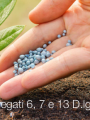 Bozza DM modifica Allegati 6  7  13 Decreto fertilizzanti